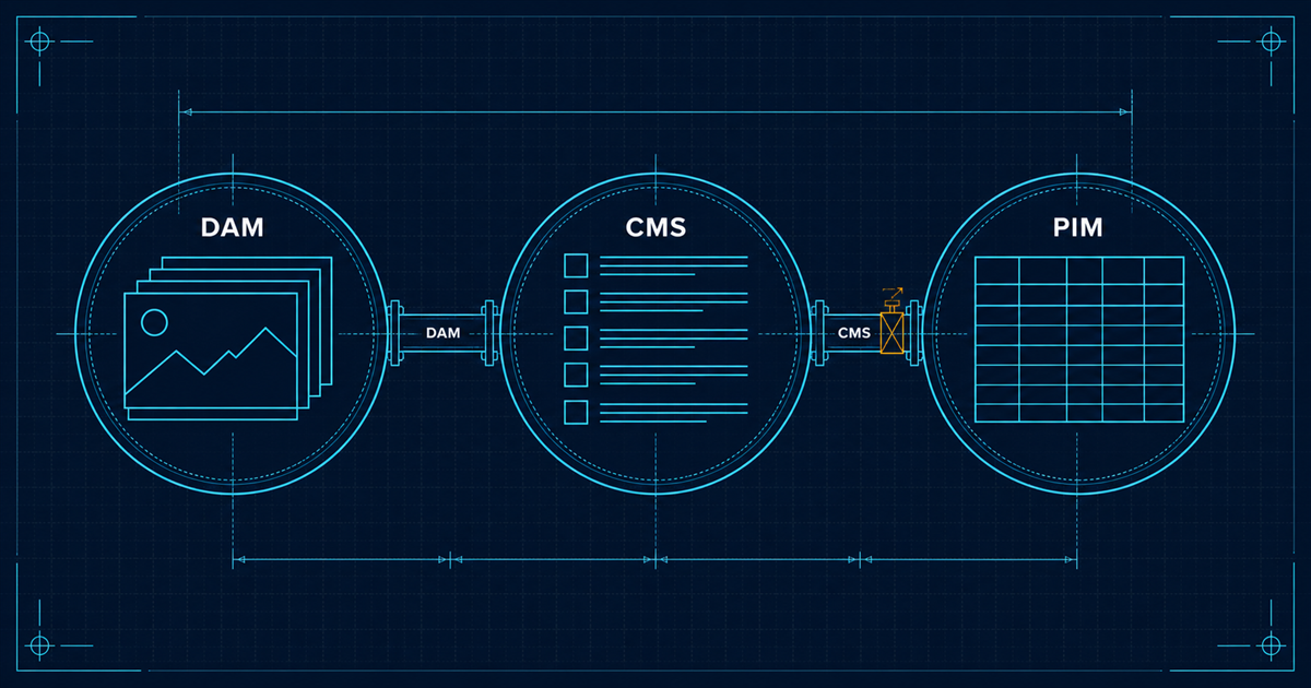 Three connected schematic circles containing image plates, text blocks and tabular rows, labelled DAM, CMS and PIM